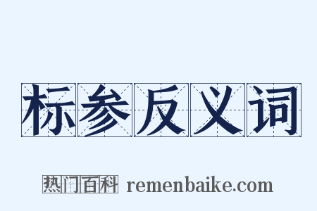 标参反义词是什么意思的图片